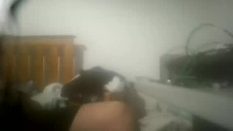 Snapshot of ricardll chatting on July 4, 2:34 pm ricardll online show from July 4, 2:34 pm