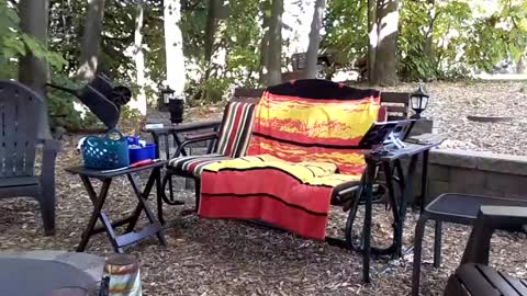 PINK HOLE TWINK online show from September 14, 8:52 pm