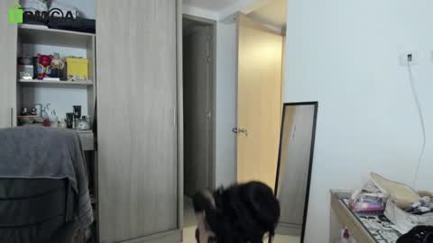 Snapshot of rickydicot_13 chatting on September 27, 2:05 am RickyDicot 13 online show from September 27, 2:05 am