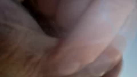 Snapshot of ridik2222333375562 chatting on April 13, 2:28 am ridik2222333375562 online show from April 13, 2:28 am
