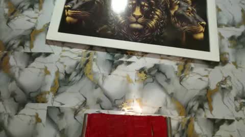 rigel online show from February 24, 6:28 pm