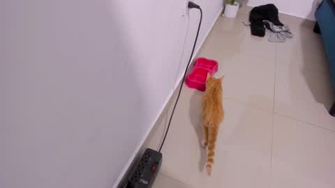 Rihanna hotx online show from December 21, 3:35 am