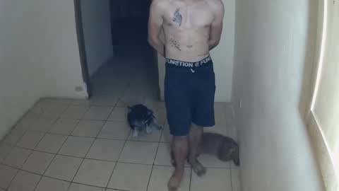 RoastingCorn online show from October 14, 10:16 am