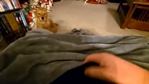 robbiebob6828 online show from January 9, 4:26 am