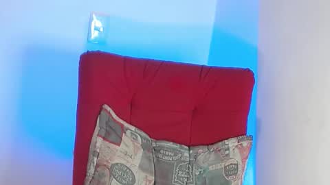 Snapshot of robert_leroy chatting on February 1, 10:13 pm Stiven - online show from February 1, 10:13 pm