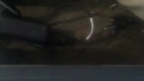 Snapshot of robincom23 chatting on December 20, 3:36 am R online show from December 20, 3:36 am