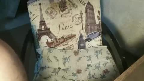 Snapshot of robson_29 chatting on January 22, 10:40 am Robson online show from January 22, 10:40 am