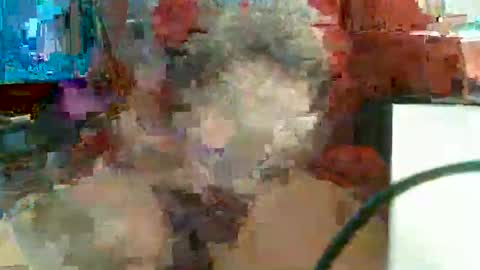 Snapshot of rocco1962 chatting on February 11, 11:48 am Rocco aka DaddyRoc online show from February 11, 11:48 am