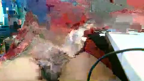 Snapshot of rocco1962 chatting on March 1, 1:13 pm Rocco aka DaddyRoc online show from March 1, 1:13 pm