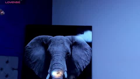 rocco_santos online show from October 4, 1:14 am