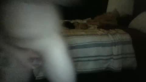 Snapshot of rockharder000 chatting on December 23, 11:25 am rockharder000 online show from December 23, 11:25 am