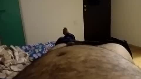 rockikoki online show from February 9, 8:02 pm