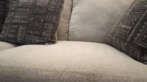 roger59267 online show from October 31, 7:59 pm