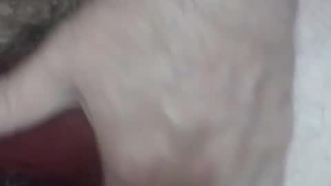 rokk_dude online show from October 26, 2:28 am