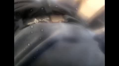 Snapshot of rollino83 chatting on November 9, 8:45 am rollino83 online show from November 9, 8:45 am