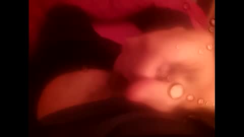 Snapshot of rollino83 chatting on December 17, 3:29 pm rollino83 online show from December 17, 3:29 pm