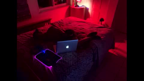 romeotyn online show from February 21, 6:07 am