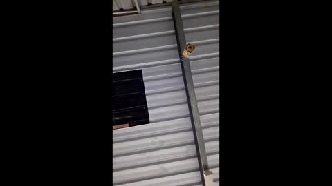 ronabater online show from January 11, 8:36 pm