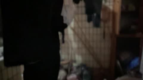 Snapshot of rosea_champagne chatting on September 20, 6:53 pm Rose and the Collector online show from September 20, 6:53 pm