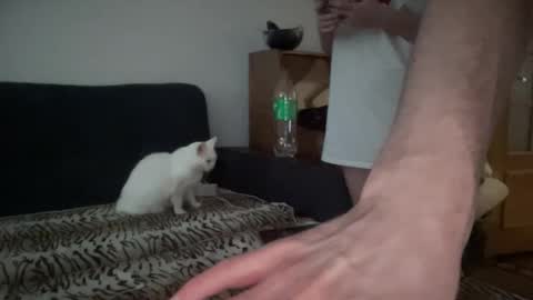 Snapshot of rosea_champagne chatting on September 27, 5:23 am Rose and the Collector online show from September 27, 5:23 am