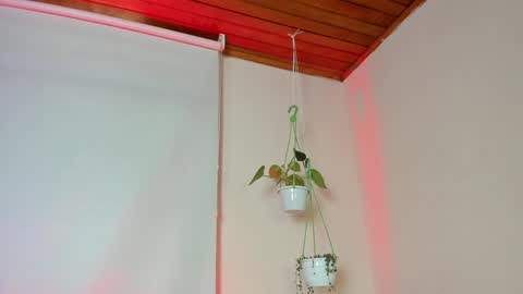 Lyla OF roselinedior online show from February 4, 2:21 pm