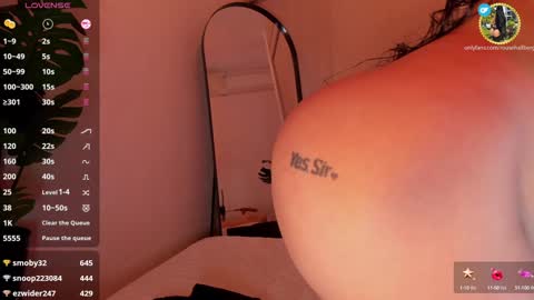 Snapshot of rouse_hallberg_ chatting on December 31, 4:06 am DREAM online show from December 31, 4:06 am