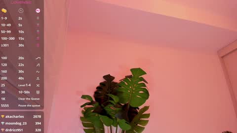 Snapshot of rouse_hallberg_ chatting on January 4, 2:46 am DREAM online show from January 4, 2:46 am