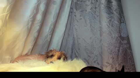 Rosita online show from February 26, 6:01 am