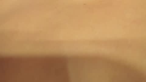 Roxane Diaz online show from April 23, 3:03 pm