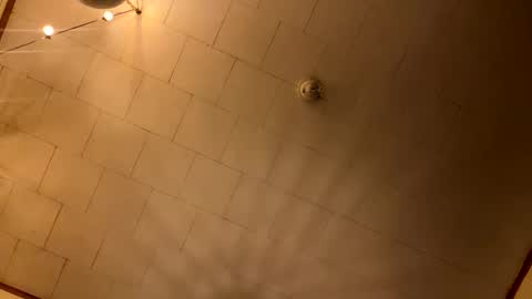 rp131313 online show from January 10, 4:25 am