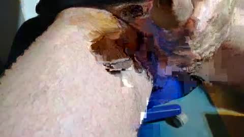 rudi_rudi_rudi_rudi online show from July 13, 1:36 pm