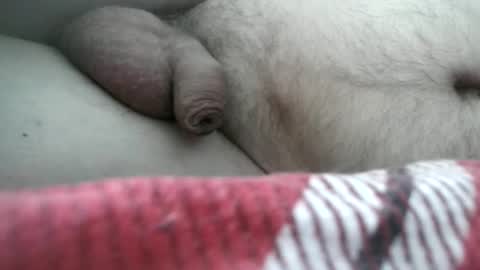 arte online show from February 24, 8:01 am