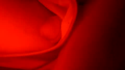 ryucravenmore online show from October 5, 1:09 pm