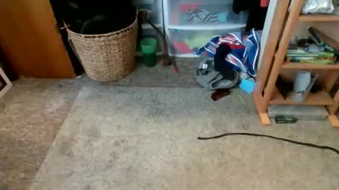 s_t_u_d_420 online show from April 16, 9:39 pm