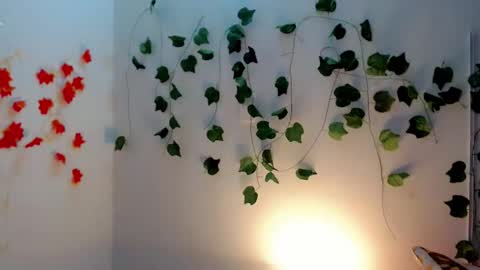 SABRI online show from January 28, 12:11 pm