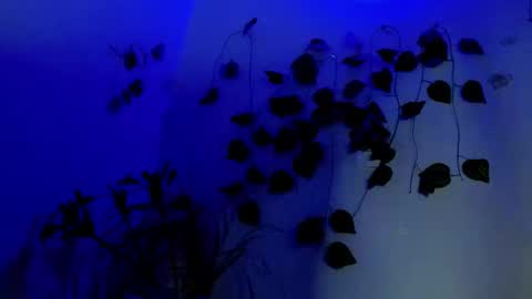 SABRI online show from April 1, 2:23 am