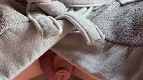 saconuts online show from February 13, 8:54 am