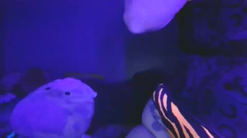 saddybaddie online show from March 13, 6:09 am