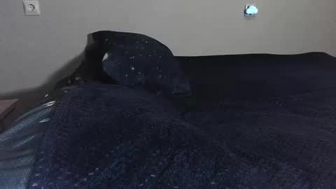 Snapshot of sademoface chatting on February 17, 10:47 pm pluto online show from February 17, 10:47 pm