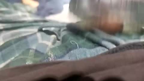 sagozure online show from October 5, 1:59 am