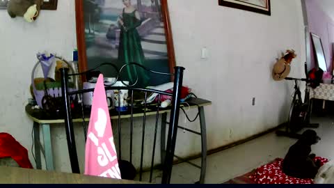 Snapshot of sailor_ruby7 chatting on October 10, 10:42 pm ruby chocoholic cakeholic coffeeholic cookieholic online show from October 10, 10:42 pm