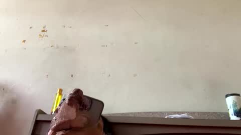 sainiboy9999 online show from October 22, 4:35 am