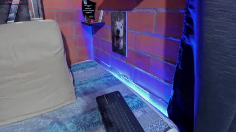 sainix_ online show from December 9, 11:56 pm