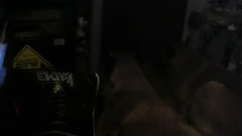 salaso138 online show from February 14, 11:31 pm