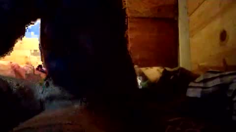 Snapshot of salido543 chatting on December 14, 10:09 am Penoso online show from December 14, 10:09 am