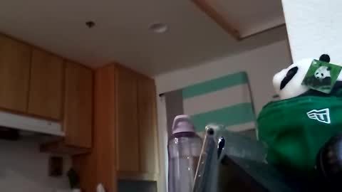 Snapshot of salis1981 chatting on September 18, 7:49 pm salis1981 online show from September 18, 7:49 pm