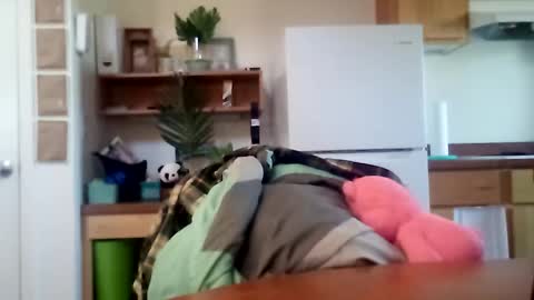 Snapshot of salis1981 chatting on October 16, 6:31 pm salis1981 online show from October 16, 6:31 pm