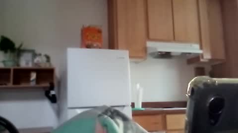 Snapshot of salis1981 chatting on December 17, 11:55 pm salis1981 online show from December 17, 11:55 pm