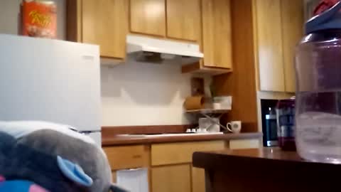 salis1981 online show from December 18, 6:58 pm