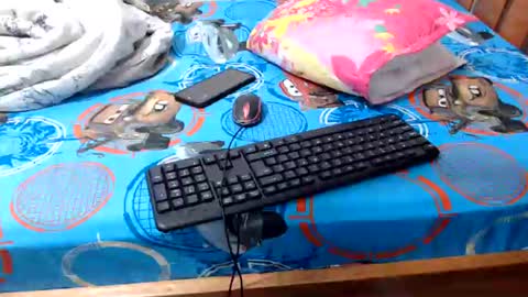 Snapshot of sallie_ chatting on June 29, 10:48 am naomi online show from June 29, 10:48 am
